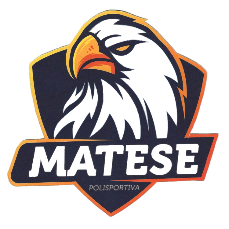 Logo Polisportiva Matese