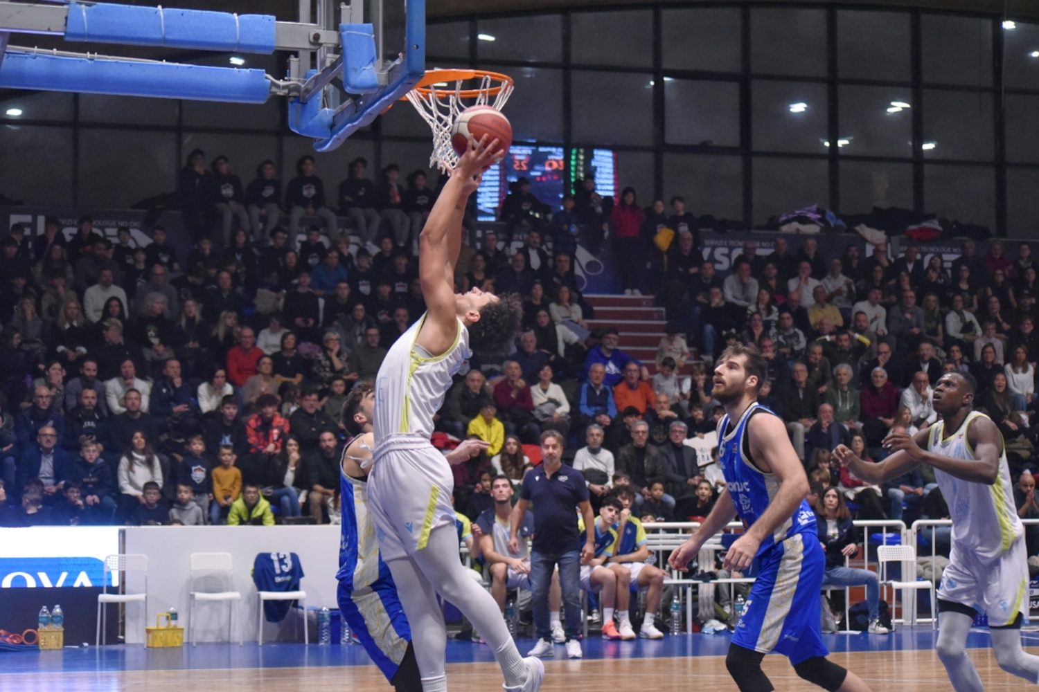 Virtus Capo